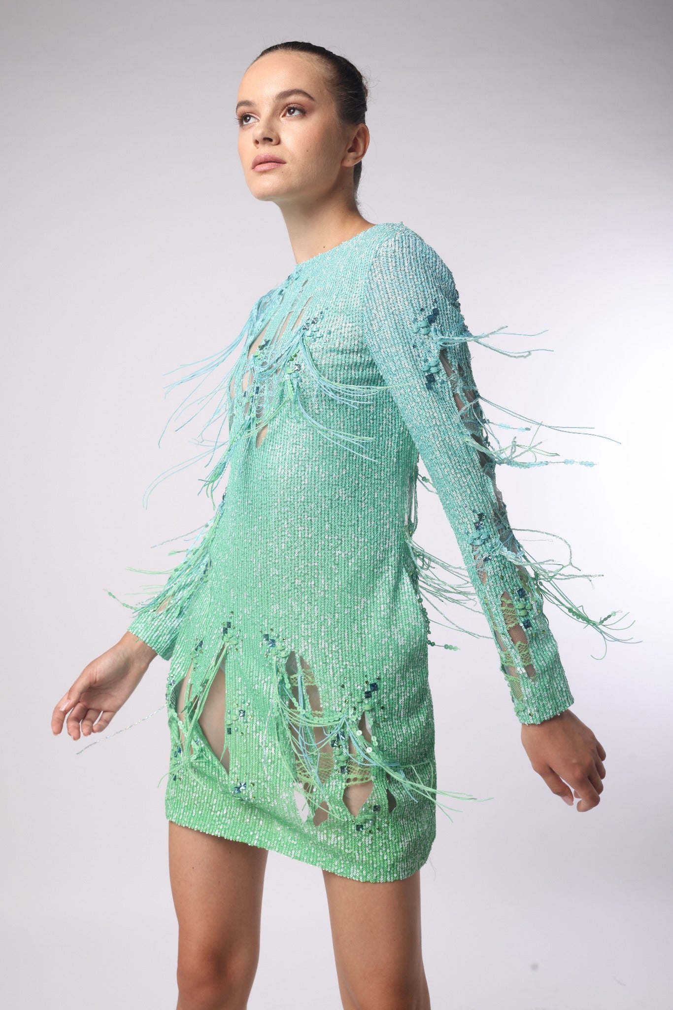 Long Sleeve Sequin Printed Backless Mini Dress