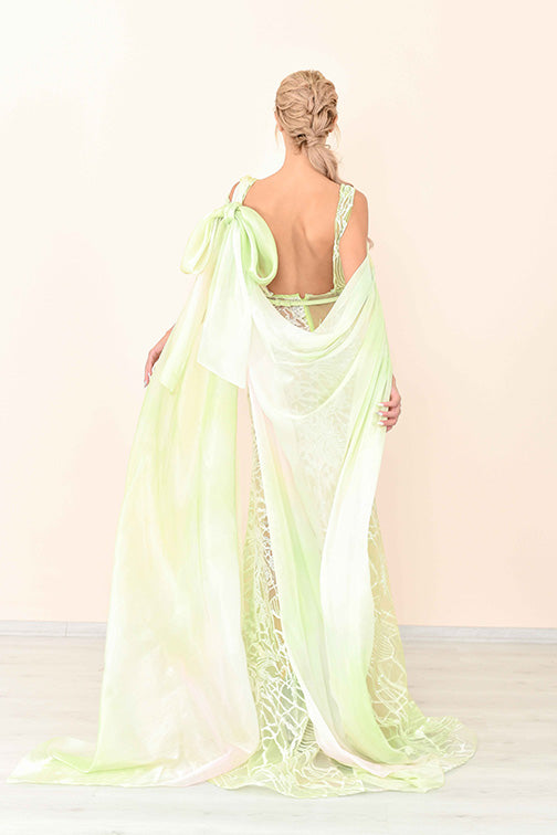 Embroidery Printed Draped Fit Flare Gown
