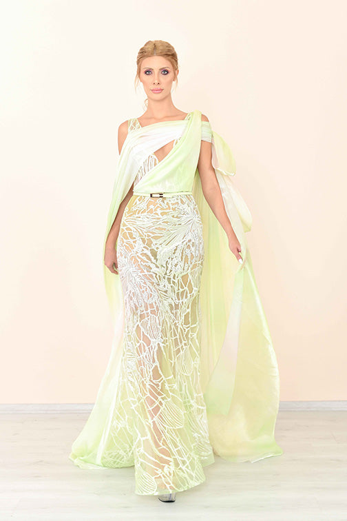 Embroidery Printed Draped Fit Flare Gown